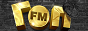 Радио логотип Гоп FM