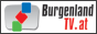 Логотип онлайн ТБ Burgenland TV