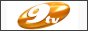 Логотип онлайн ТБ TV9