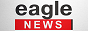 Логотип онлайн ТБ Eagle News