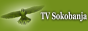 Логотип онлайн ТБ TV Soko