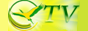 Логотип онлайн ТБ Здорова Україна
