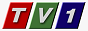 Logo Online TV TV1 - България - Българска телевизия. ТV1 e телевизионен канал със специализиран информационен профил, акцентиращ върху авторски предавания на български продуценти – публицистика, култура, спорт, етнос, музика, история, традиции.