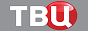 Логотип онлайн ТБ Син / ТВ Центр
