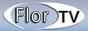 Логотип онлайн ТБ Флор ТБ