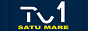 Логотип онлайн ТБ TV 1 Satu Mare