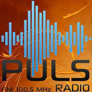 Радио логотип Пулс Радио