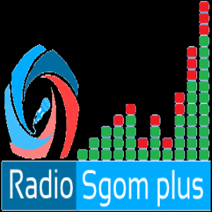 Логотип радио 300x300 - Radio Sgom-Plus Dance Club