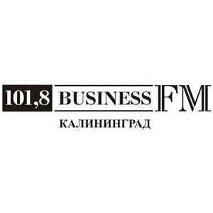 Лого онлайн радио Бизнес ФМ