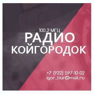 Логотип радио 300x300 - Радио Койгородок