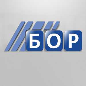 Логотип радио 300x300 - Radio Bor