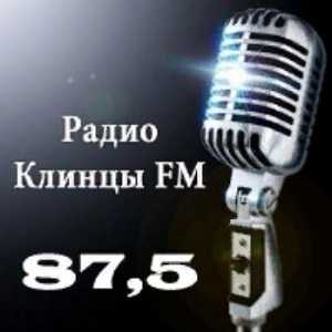 Логотип радио 300x300 - Клинцы ФМ