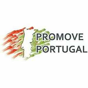 Логотип радио 300x300 - Promove Portugal