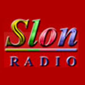 Логотип онлайн радио Radio Slon FM