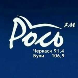 Логотип радио 300x300 - Украинское радио. Рось