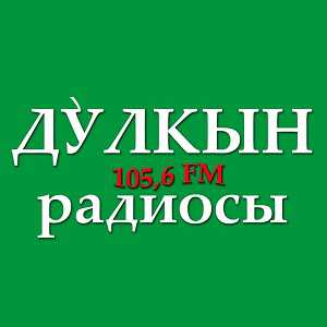 Логотип онлайн радио Дулкын радиосы