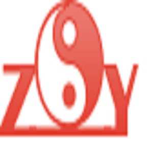 Логотип ZYQ Channel