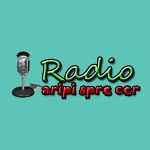 Радио логотип Crestin Aripi Spre Cer Instrumen