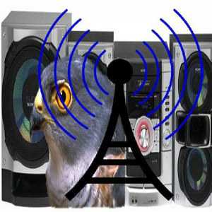 Лого онлайн радио Radio Sokolica