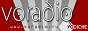 Логотип радио  88x31  - VO Radio
