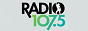 Логотип радио  88x31  - Radio 107,5