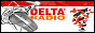 Логотип радио  88x31  - Delta Radio