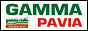 Логотип радио  88x31  - Gamma Radio Pavia