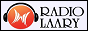 Логотип радио  88x31  - Радио Лаари по-русски!