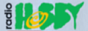 Логотип онлайн радіо Radio Hobby