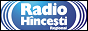 Логотип радио  88x31  - Радио Хынчешты