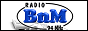 Логотип радио  88x31  - Radio BnM