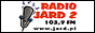 Логотип онлайн радіо Radio Jard 2