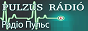 Логотип онлайн радіо Пульс