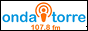 Логотип радио  88x31  - torreFM