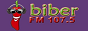 Логотип радио  88x31  - Biber FM