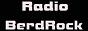 Логотип радио  88x31  - BerdRock