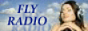 Логотип радио  88x31  - Fly Radio
