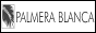 Логотип онлайн радіо Palmera Blanca