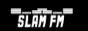 Логотип радио  88x31  - SLAM FM