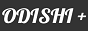 Logo online rádió Radio Odishi Plus