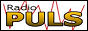 Логотип онлайн радио Radio Puls