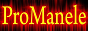 Логотип онлайн радіо Radio Pro Manele