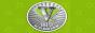 Логотип онлайн радио Village FM