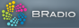 Логотип радио  88x31  - BRadio