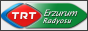 Логотип онлайн радио TRT Erzurum