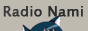 Логотип радио  88x31  - Radio Nami