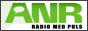 Логотип радио  88x31  - ANR