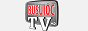 Логотип онлайн ТБ Базилик ТВ