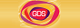 Логотип онлайн ТВ GDS TV